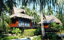 Phi Phi Island Village Beach Resort 4*+ (Phi Phi, Thailand)