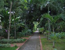 Pattaya Garden Hotel 3* (North Pattaya, Pattaya, Thailand)